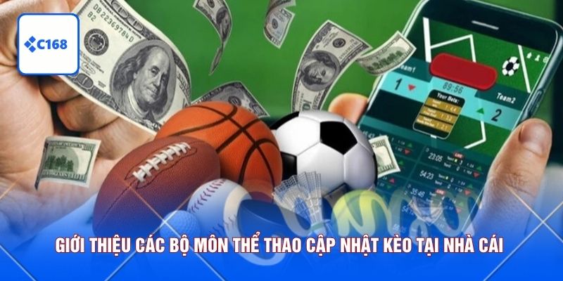 Giới thiệu các bộ môn thể thao cập nhật kèo tại nhà cái