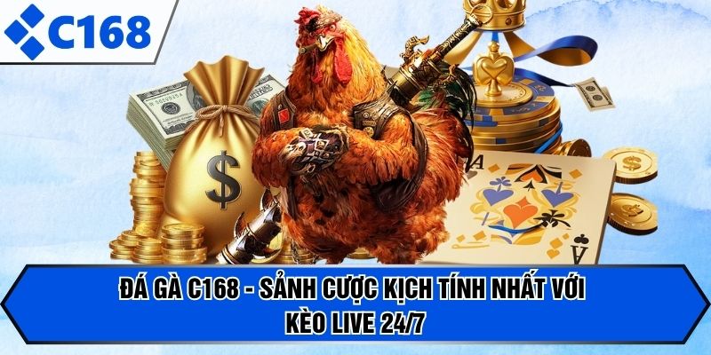 Đá Gà C168 - Sảnh Cược Kịch Tính Nhất Với Kèo Live 24/7