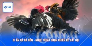 đá gà đòn