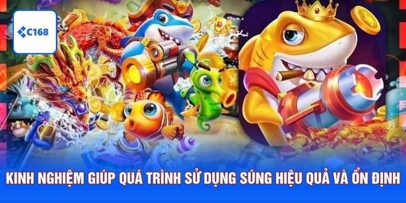 Kinh nghiệm giúp quá trình sử dụng súng hiệu quả và ổn định hơn