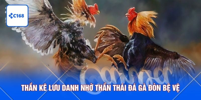 Thần kê lưu danh nhờ thần thái đá gà đòn bệ vệ
